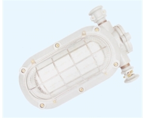 山东矿用隔爆型LED支架灯